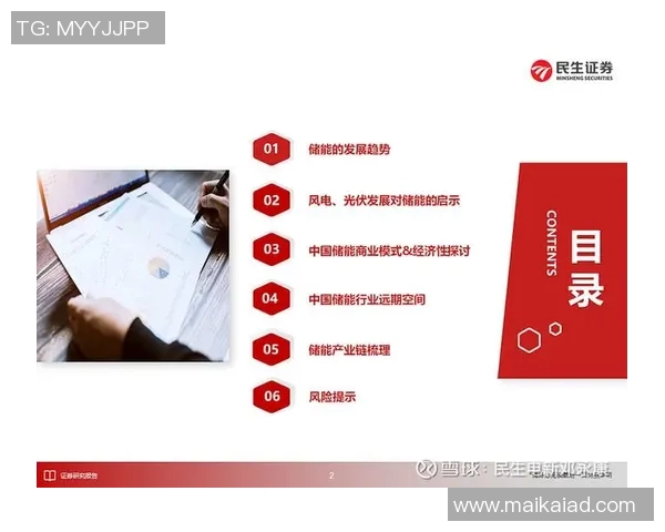 上海羽毛球队运营模式解析与热点关注的深度探讨 上海羽毛球队运营模式解析与热点关注的深度探讨